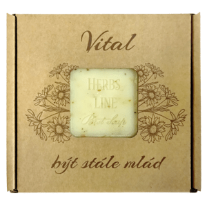 Přírodní mýdlo K-natur 100g VITAL